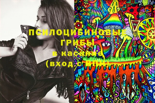 spice Кодинск
