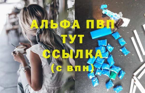 мдпв Козельск
