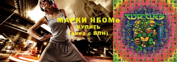 мдпв Козельск