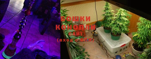 мдпв Козельск